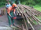 Mir san die fleißigen Holzhackerbuam