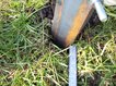 Passt - Der Hering hält